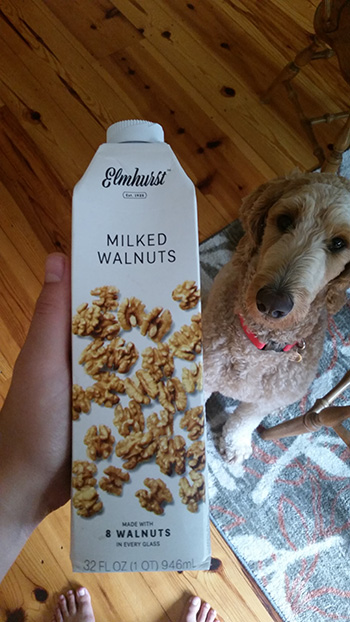 walnut milk front