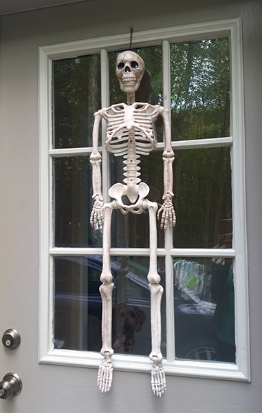 creepy skeleton