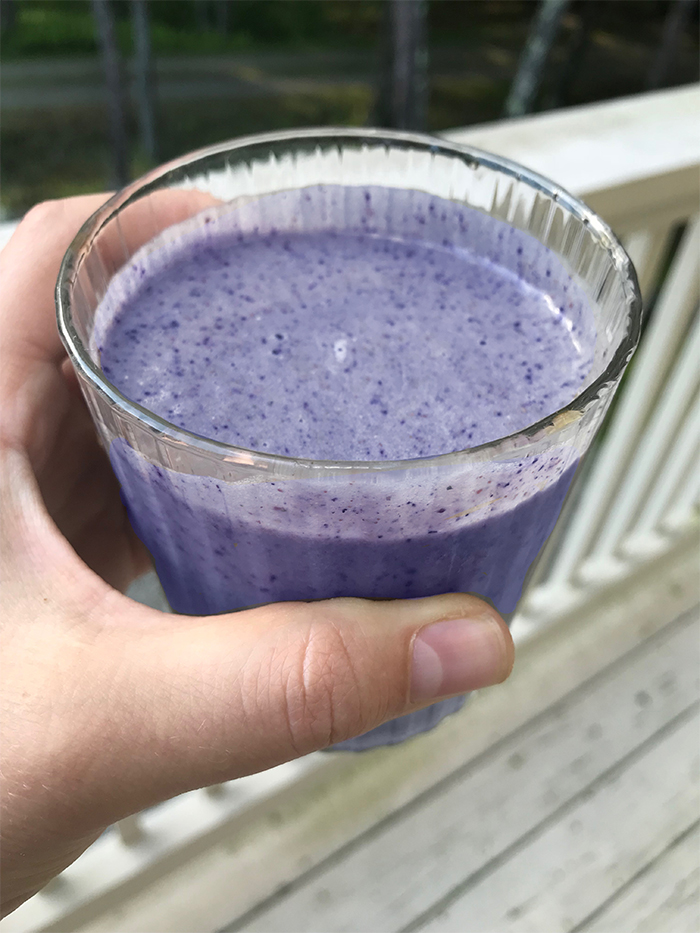 Blueberry Smoothie Low Carb