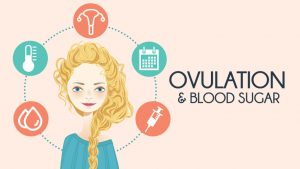 Ovulation and Blood Sugar