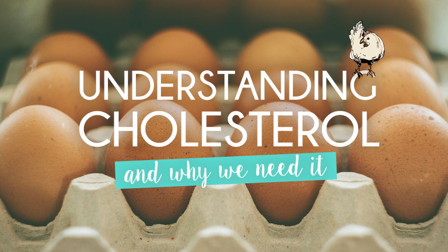 Understanding Cholesterol and why we need it