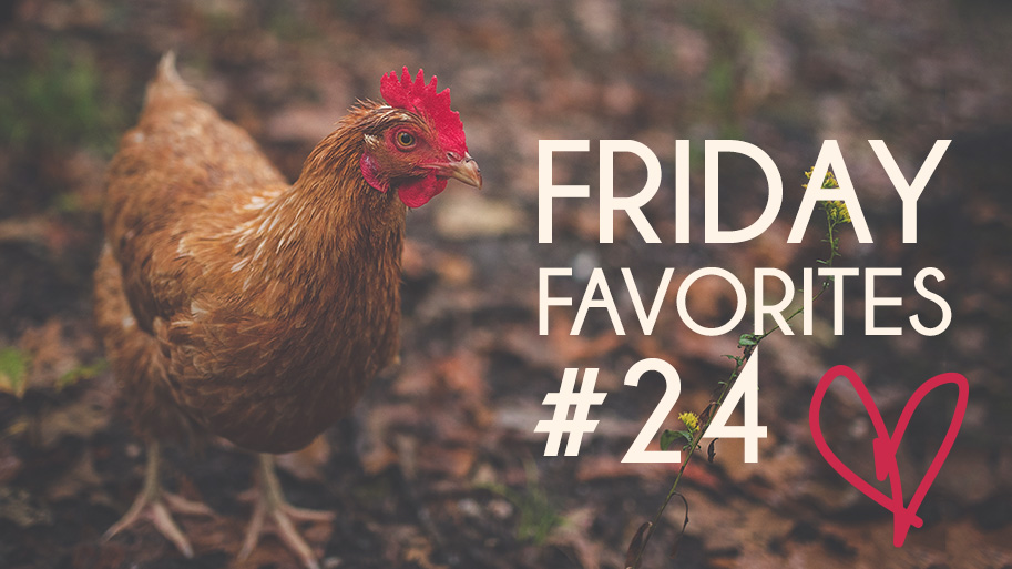 Friday-Favorites-24-FALL