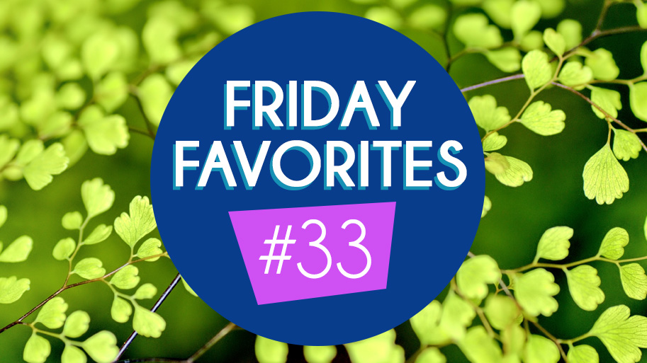 Friday Favorites #33 Winter