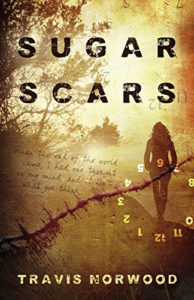 sugar-scars-books-with-diabetics