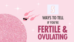 5 ways to tell if youre fertile and ovulating