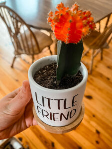 little friend pot with cactus